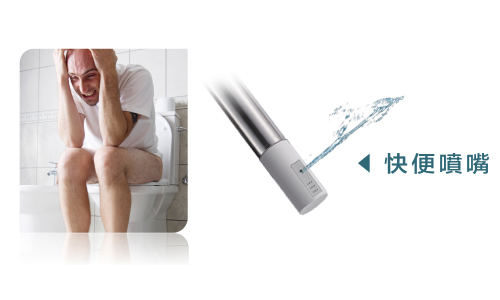 電腦免治馬桶座-快便噴嘴 免治馬桶座,推薦,比較,電腦,防水